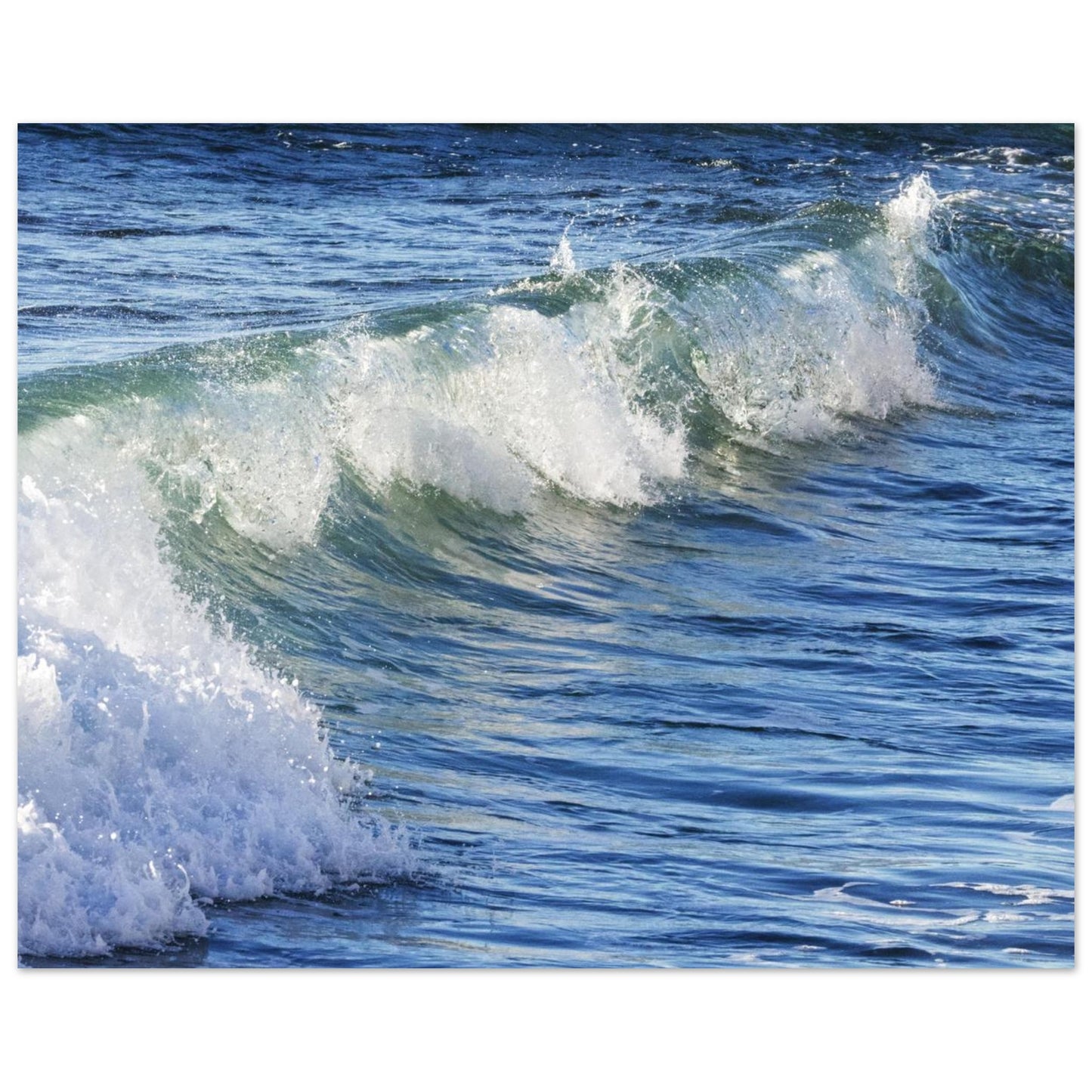 085ef114-04ab-461b-b898-c522b97d6daf