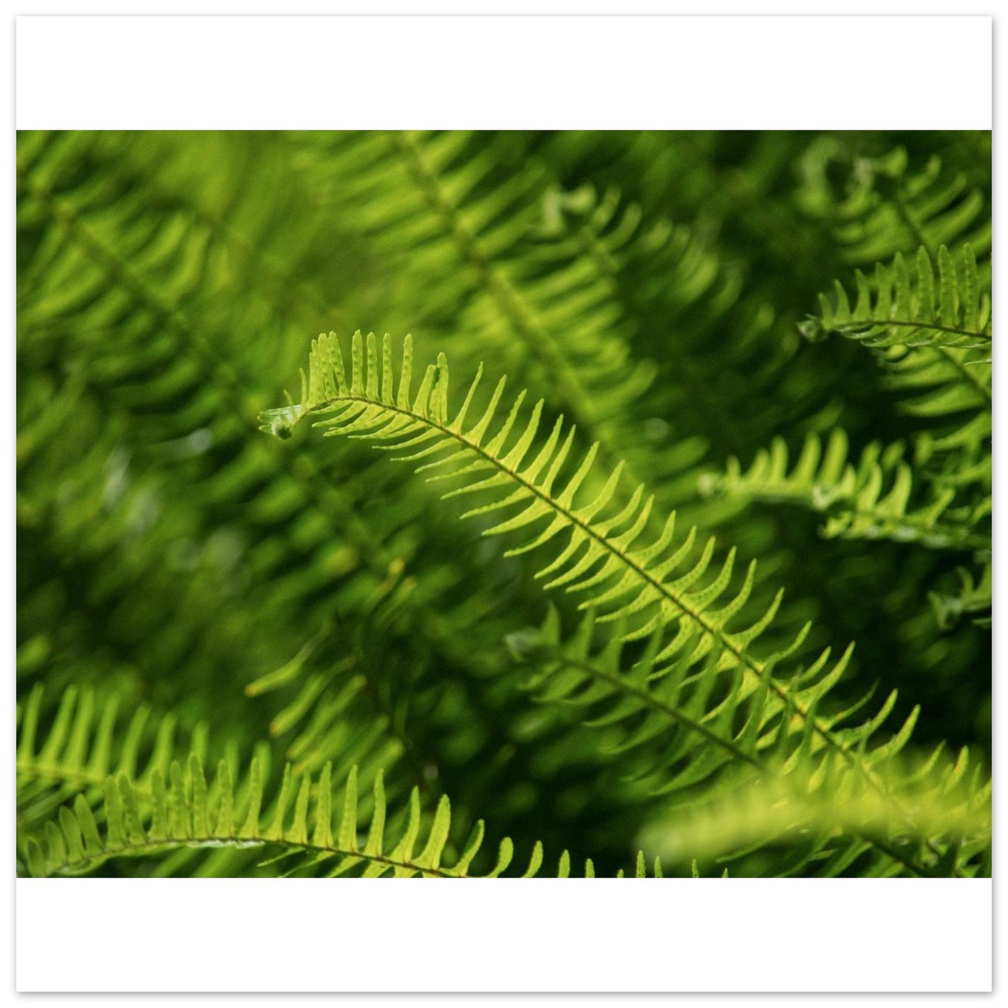 0b62aaea-c4a1-40c5-b9c7-42b4a355a628