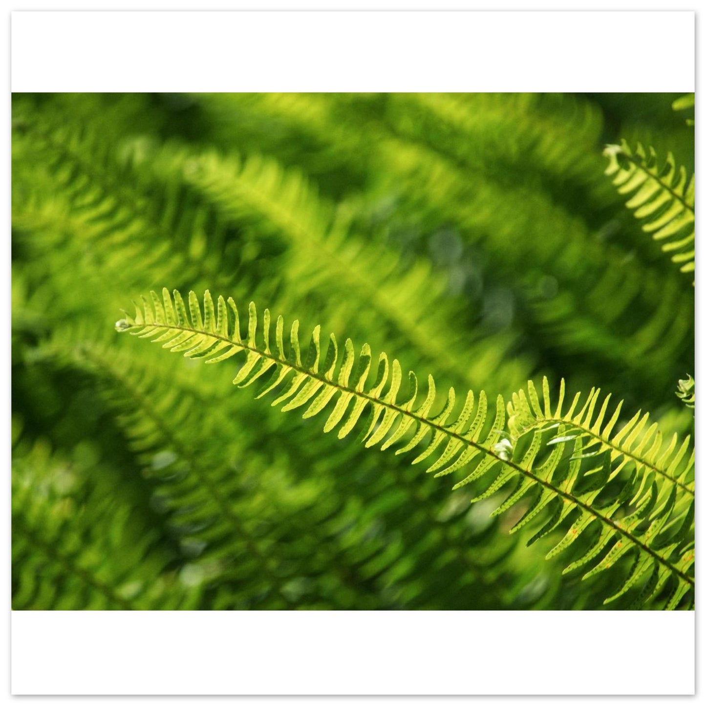 13567120-f6f3-400c-8c59-5baff7c6db93