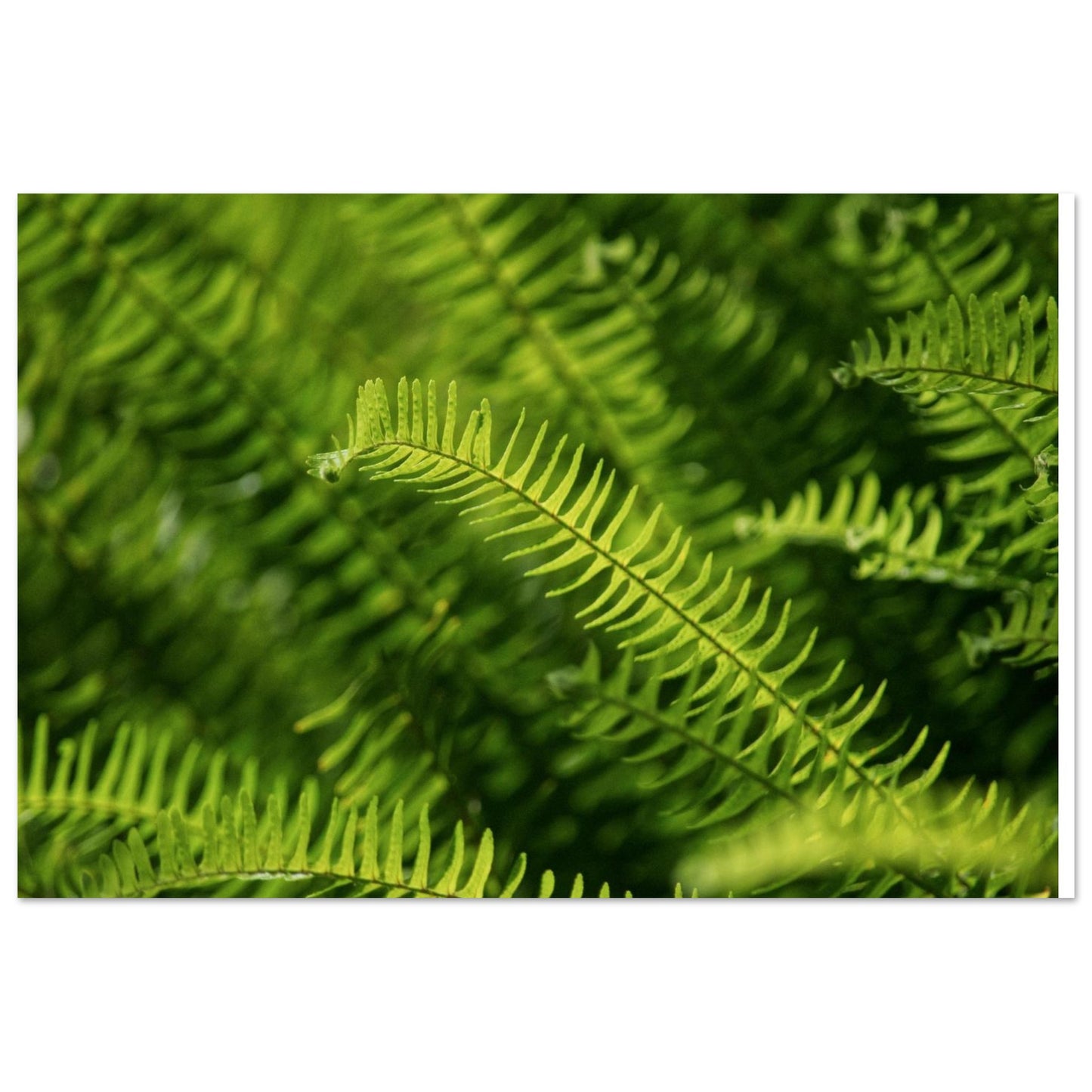 13cb2b8b-19b0-4ff5-85c6-80353c0eef1e