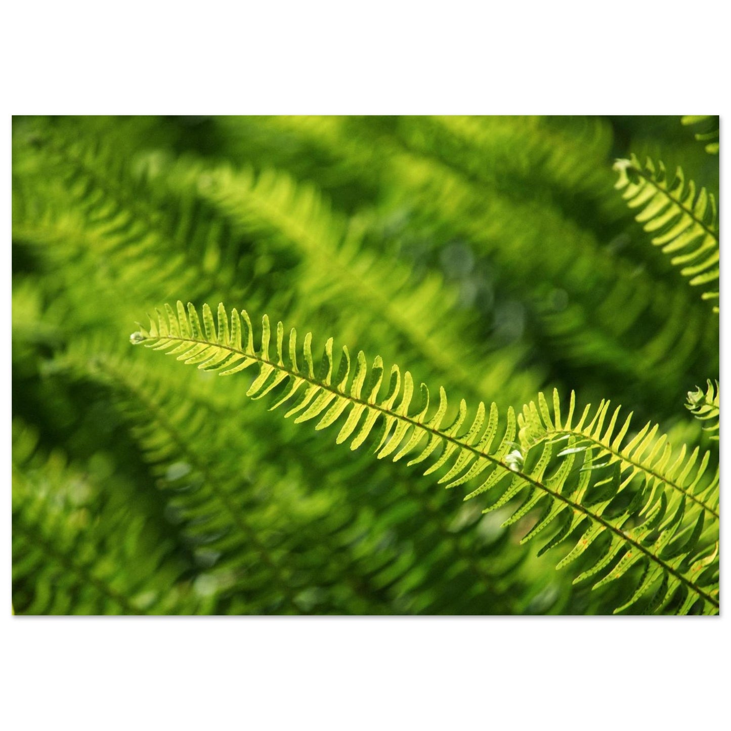 1b50eb26-7159-4d02-9499-bb3c7df15ae6