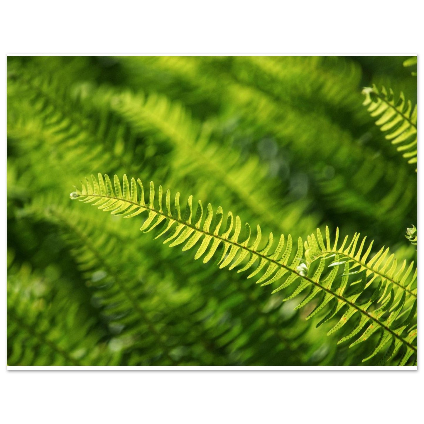 1edc44b5-440e-476c-a61d-ff91dc3000d4