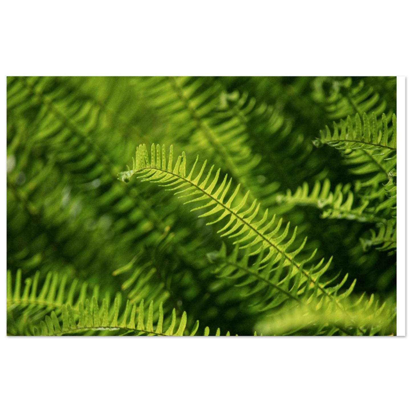 208798f0-7085-4463-b741-6b77fc3ef43f