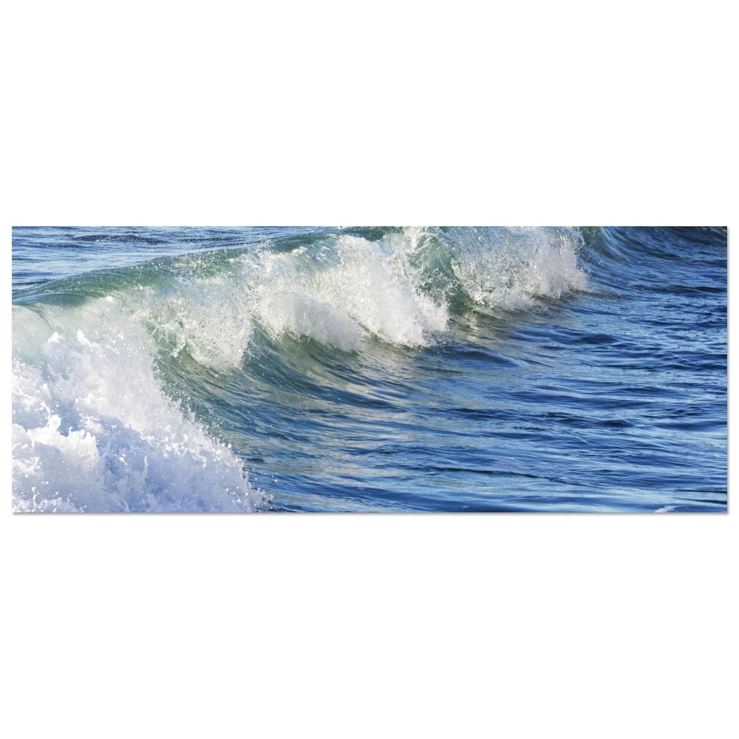 2495e037-4db4-4688-8fee-52c1a93e75ed