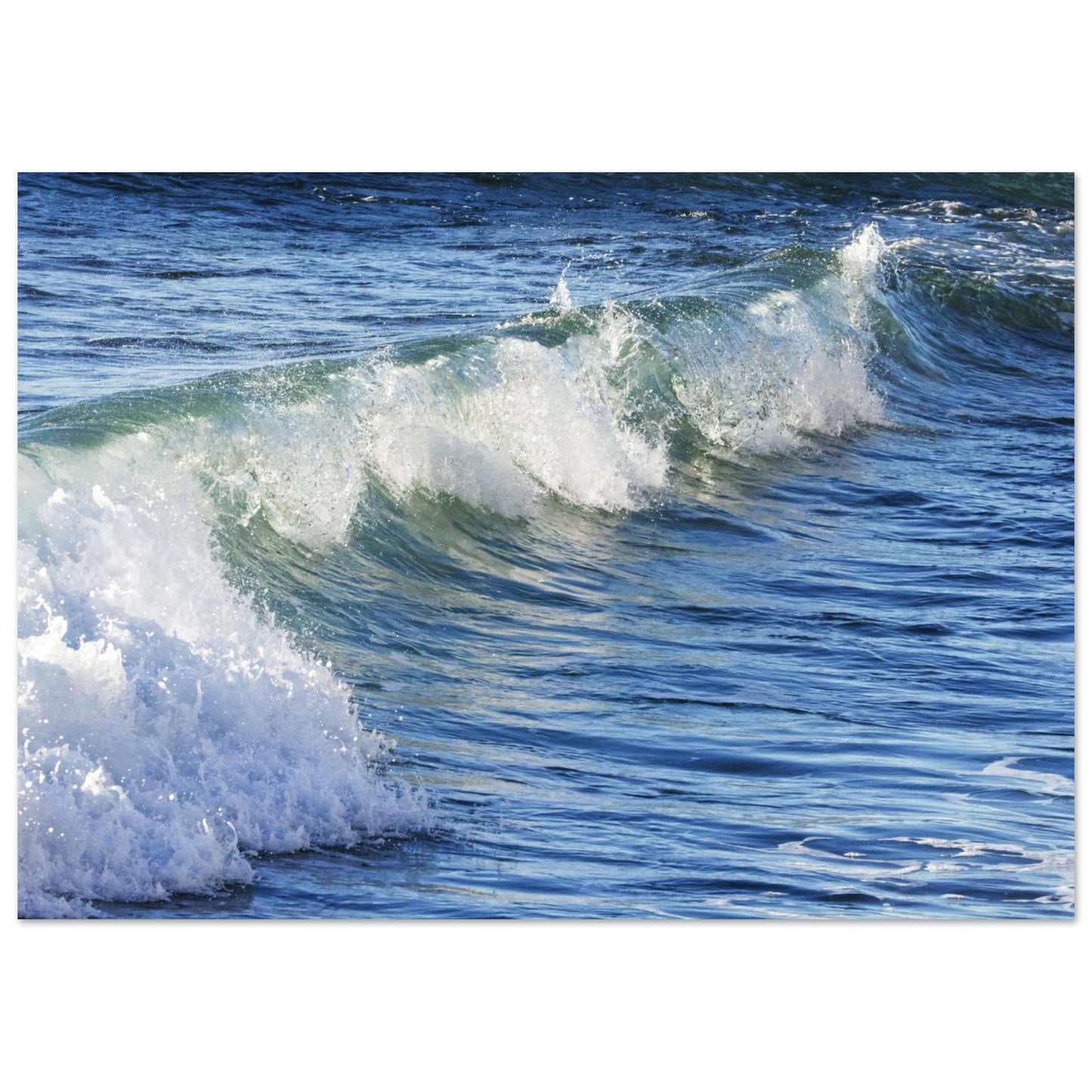 2e2e55de-45d9-4946-96ef-c9baefec2458