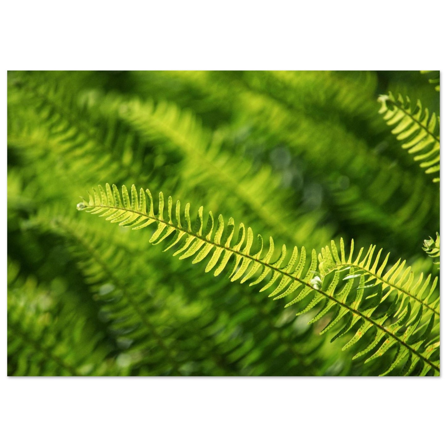 34ccce5c-ac9b-4baf-8de2-ebd738eb1cb0