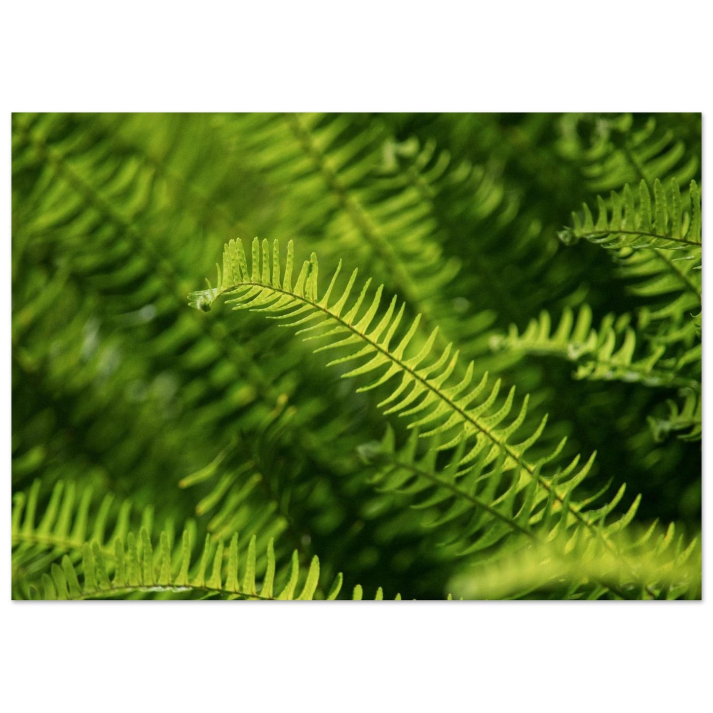 35d4d10d-bab1-4e30-89e6-0f59a2f83402