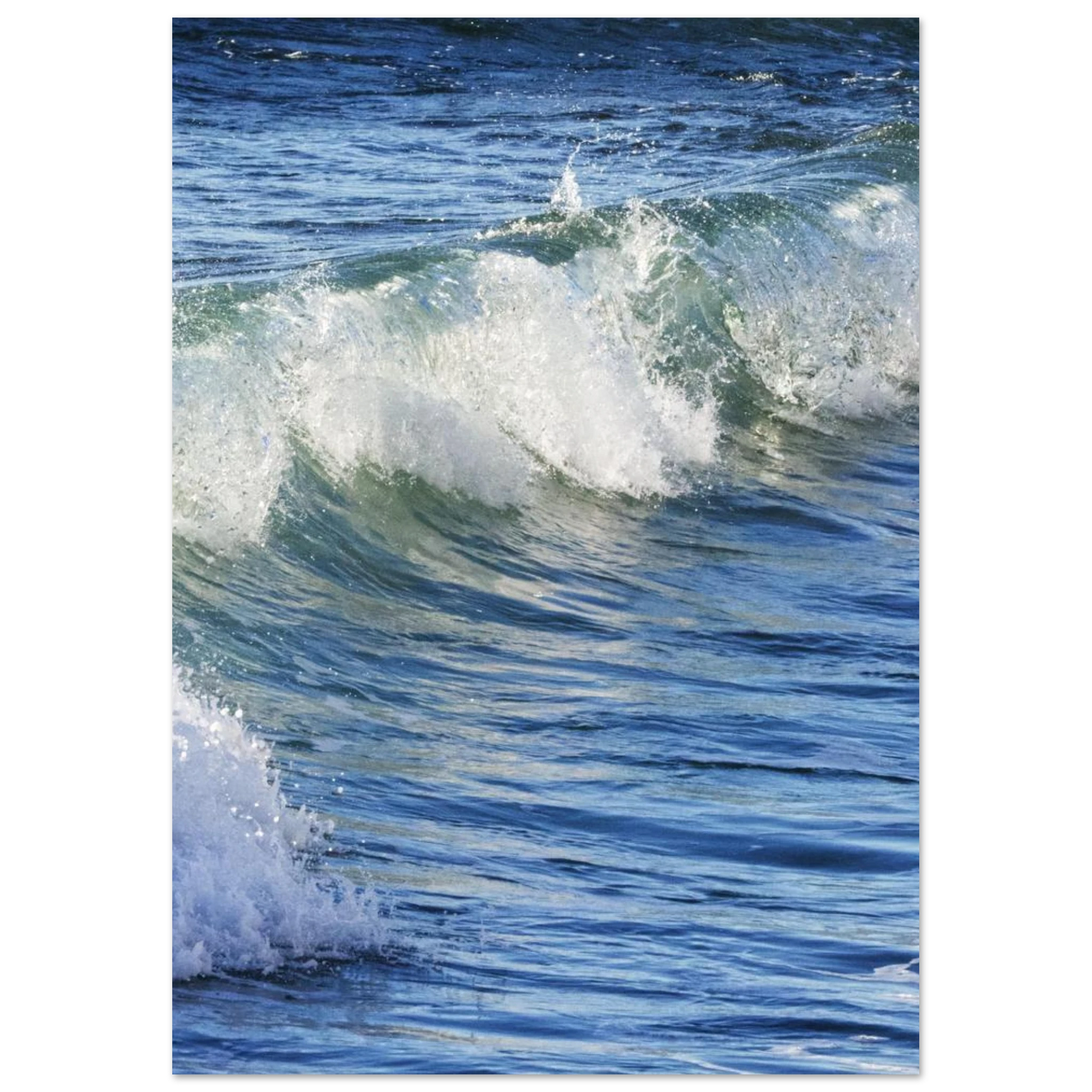 3b5b4a1c-a0ea-4d53-bdb9-27b5c5e1e4f1