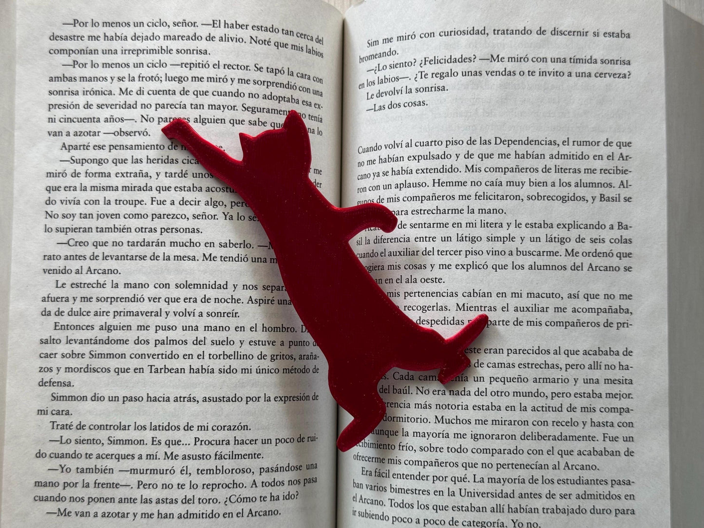 5-Pack Cat Bookmarks – Cute & Quirky Set for Cat Lovers and Bookworms