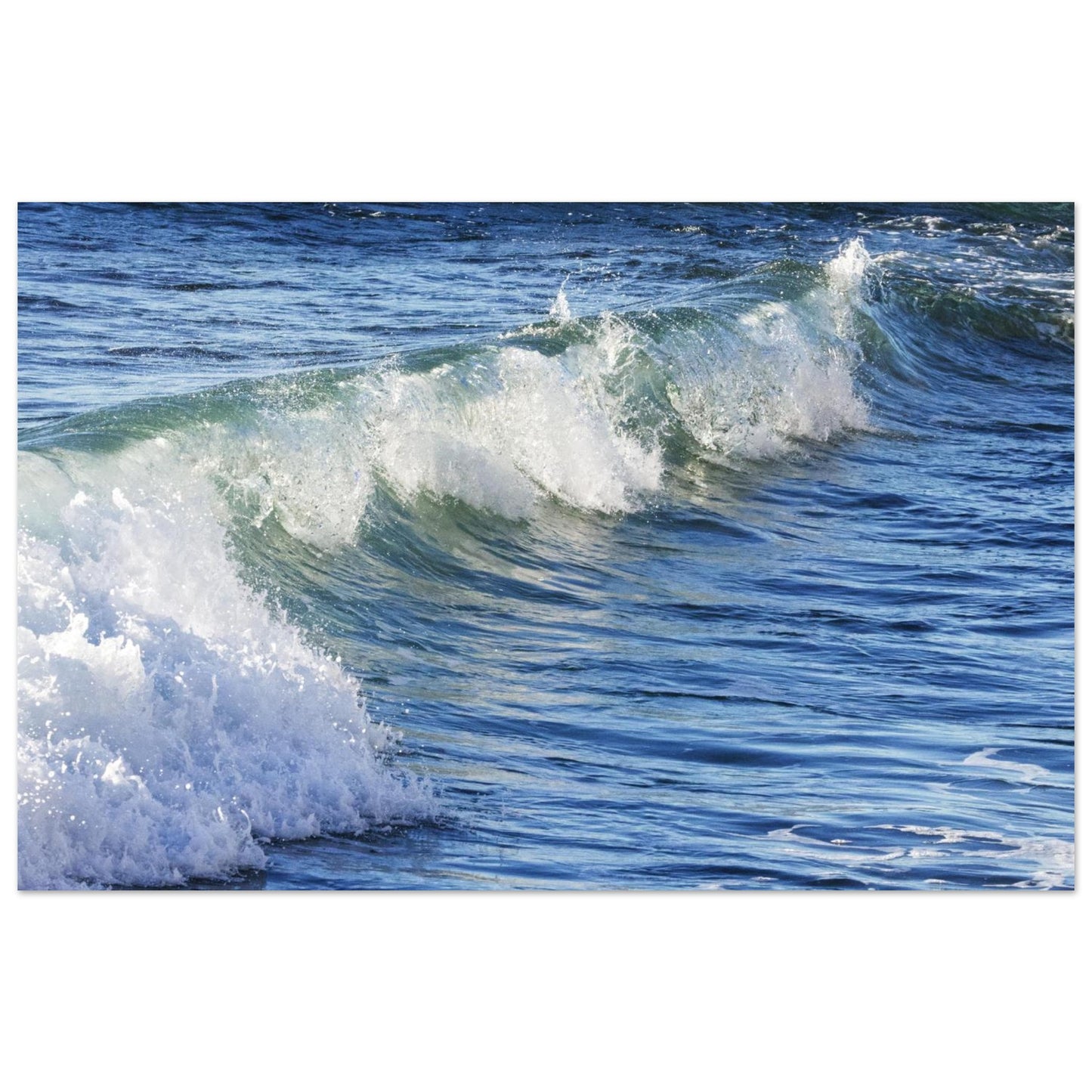 4794523e-4631-45be-9629-927c6a478abd