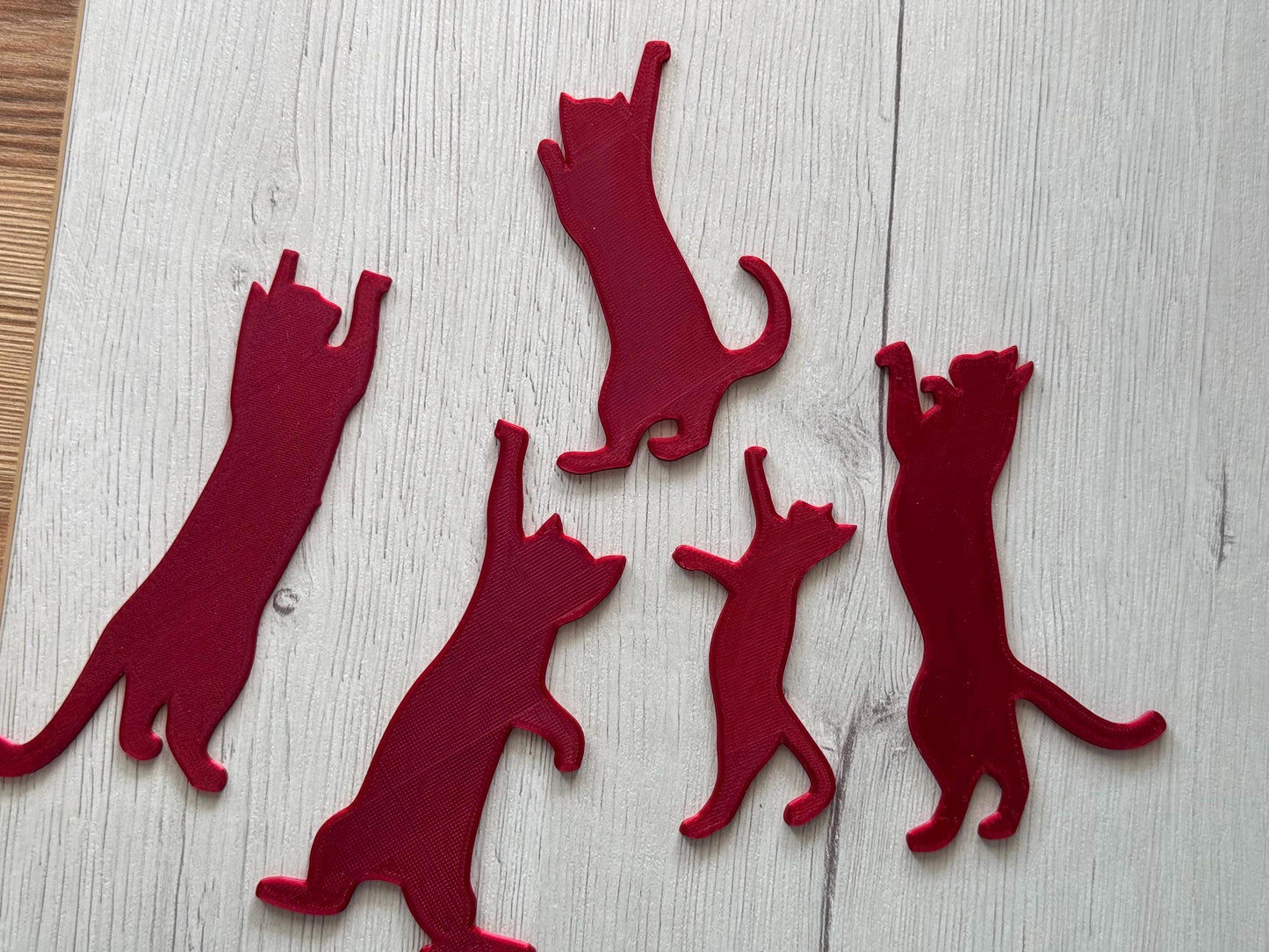 5-Pack Cat Bookmarks – Cute & Quirky Set for Cat Lovers and Bookworms