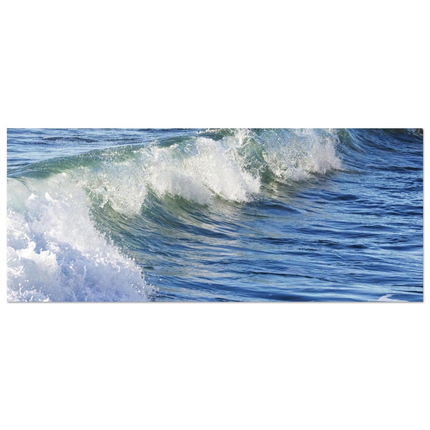 5083f7b3-bfa3-4408-8239-0134cbd59288