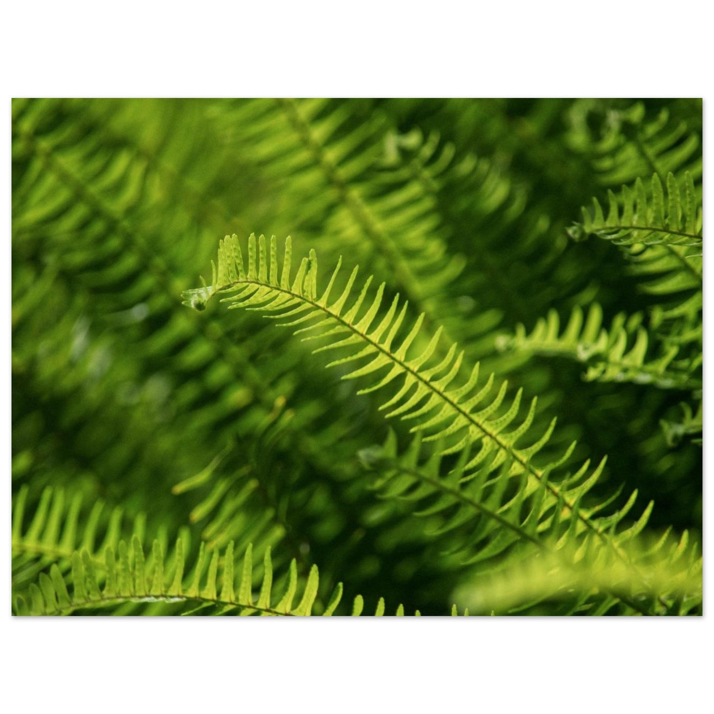 56b11a96-2b30-4497-8577-032b98897c7f