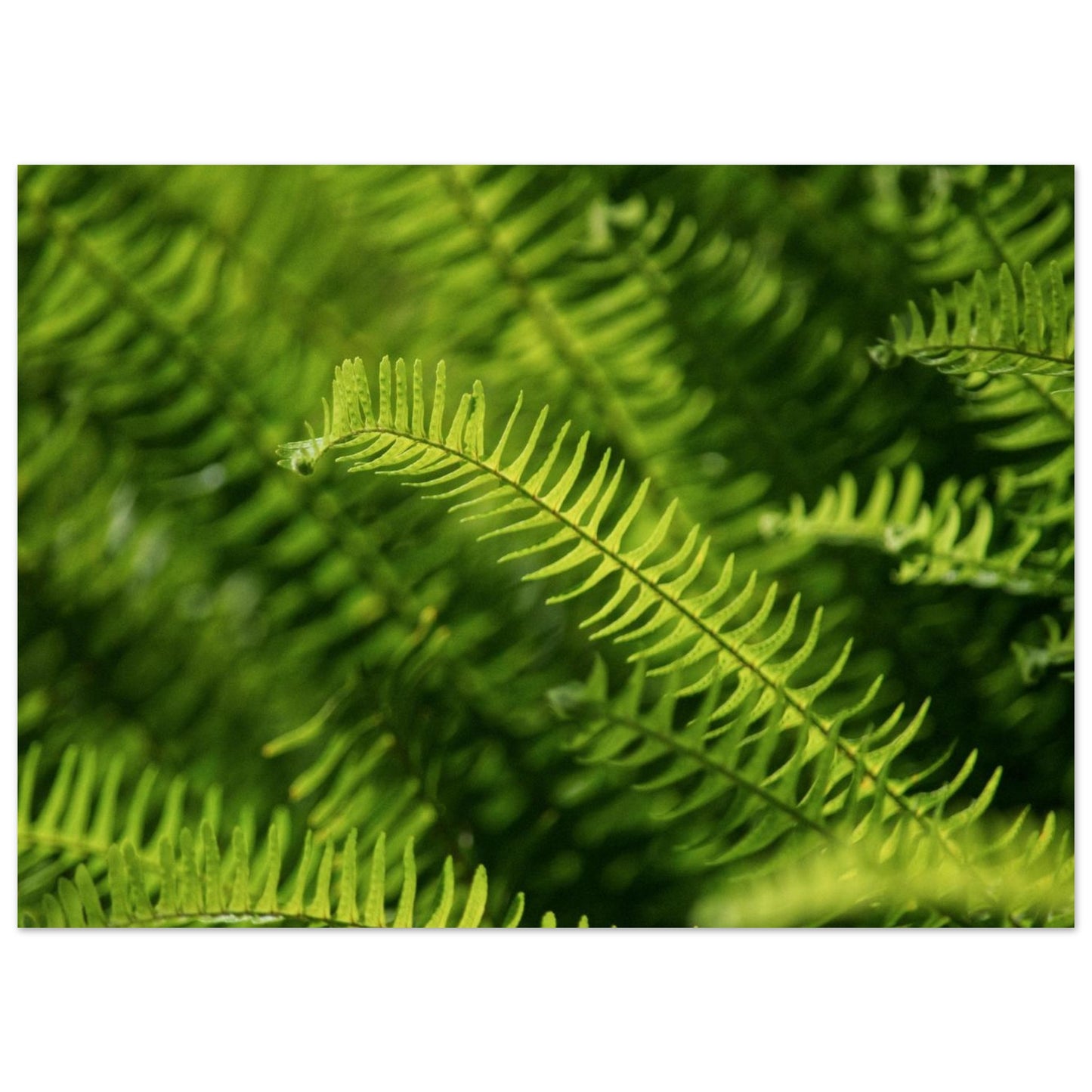 62702d7b-e4f6-45a3-b6f9-12c48690832c