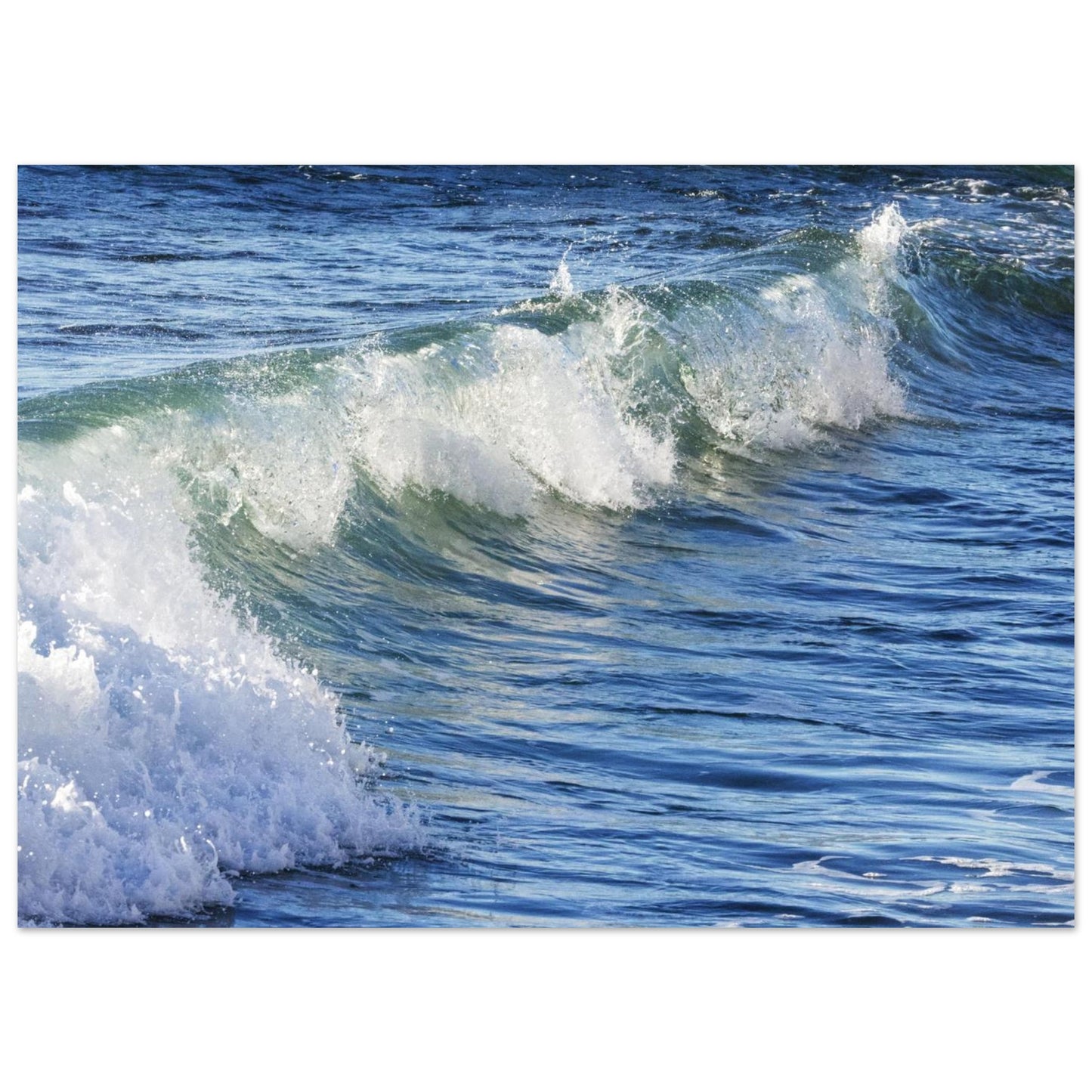 6625c8ee-7759-4254-9e46-b619ad0f6ddb