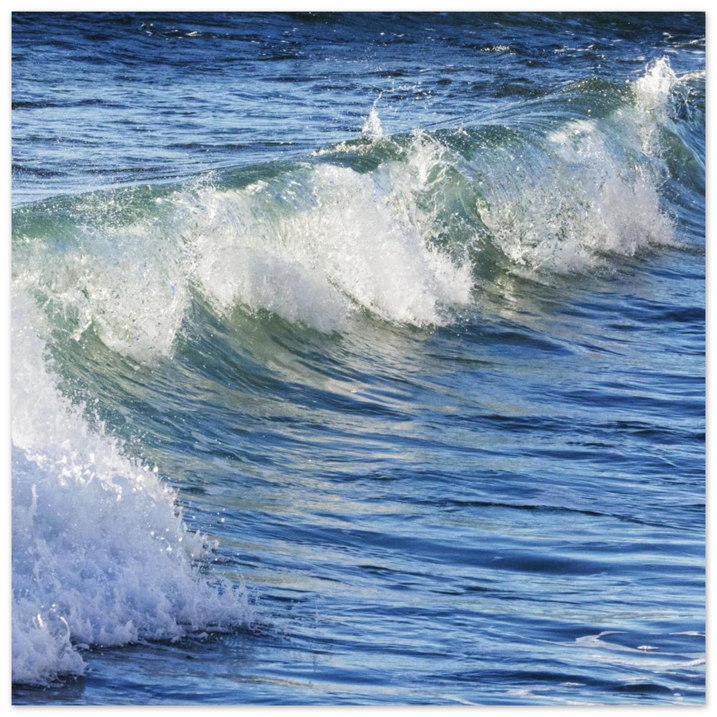 6b38e775-0928-42d4-9074-65d1002df53d