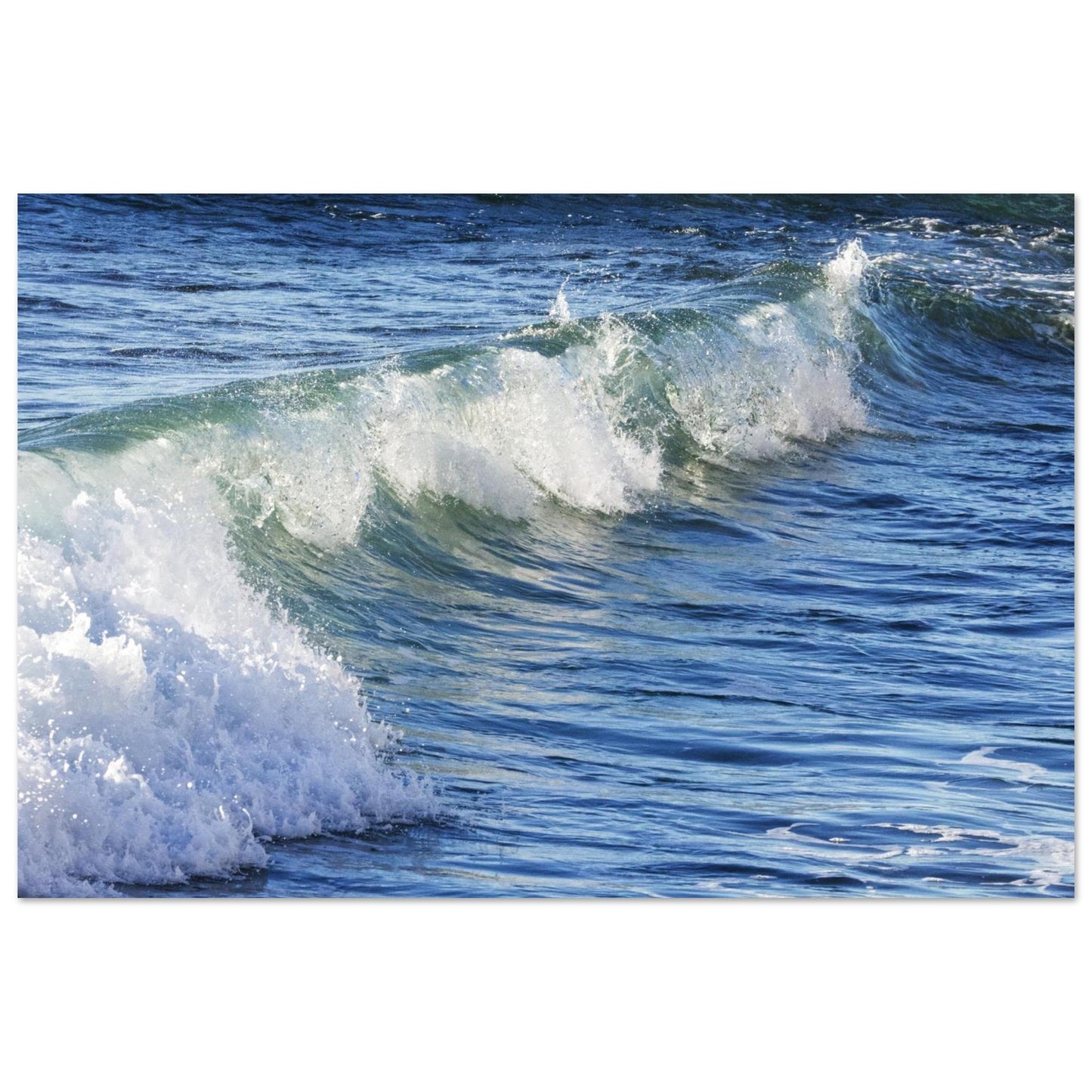 728031ac-d6c3-4413-9b58-43c0df683342