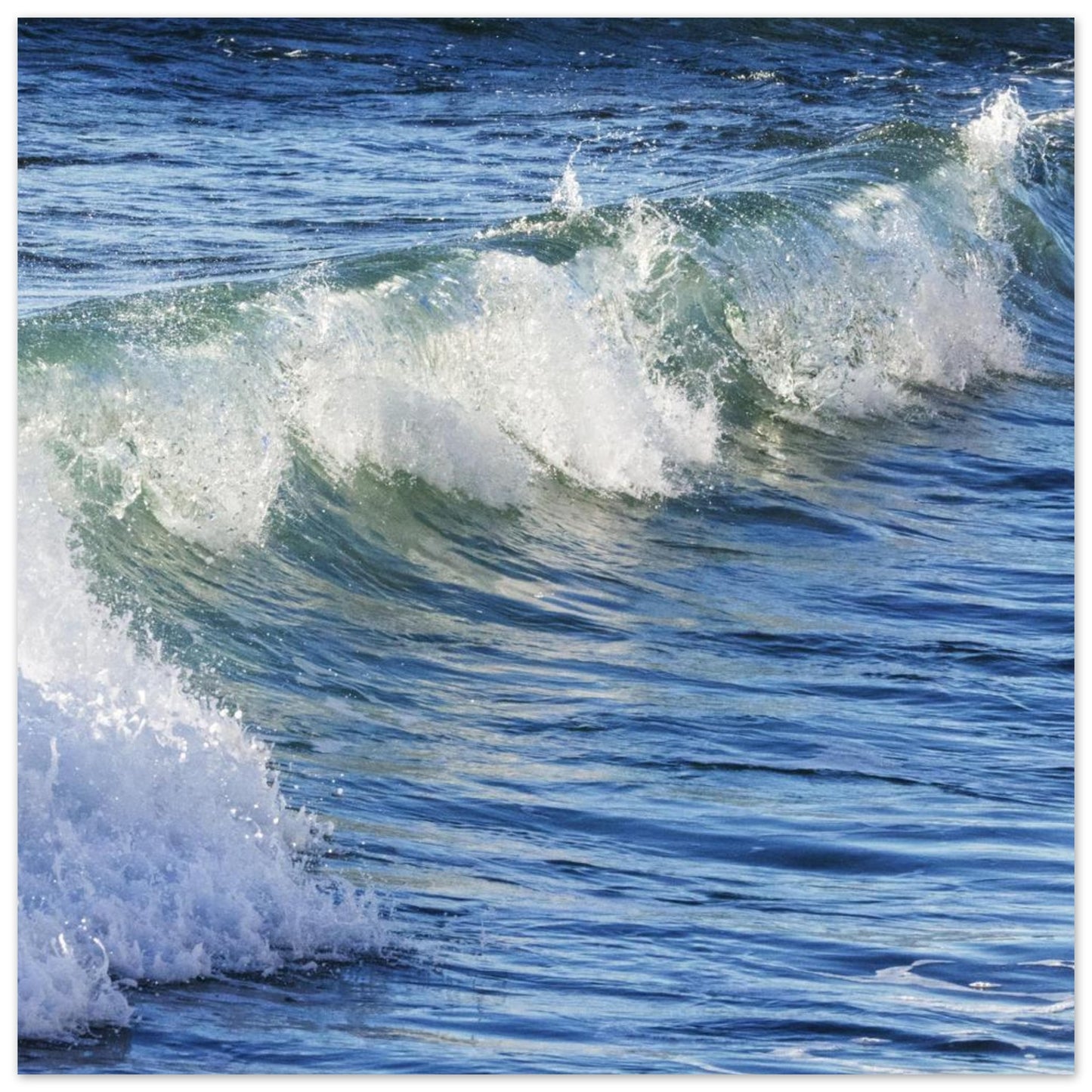 72f11b0e-fac5-4cef-abd8-4634684a737c