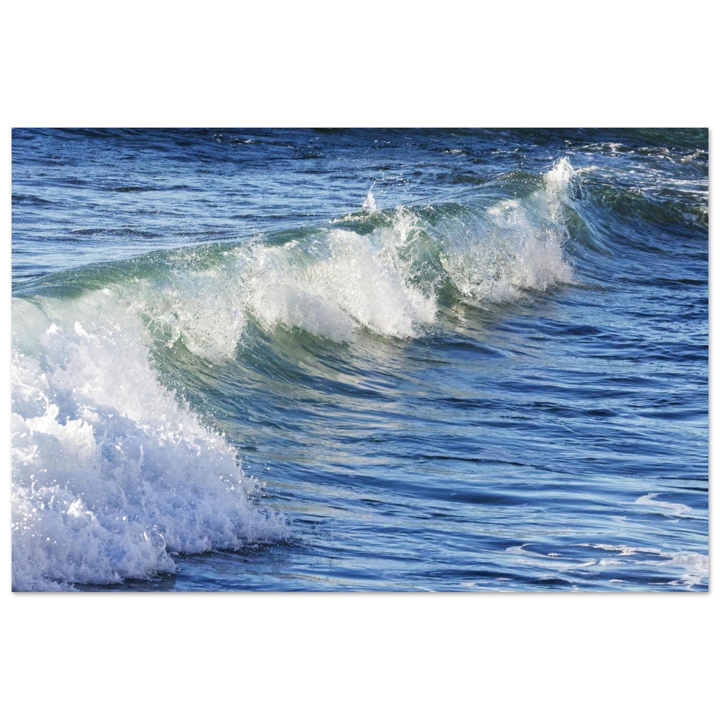 7b07d972-d502-4891-b9c0-b65ee32a95d2