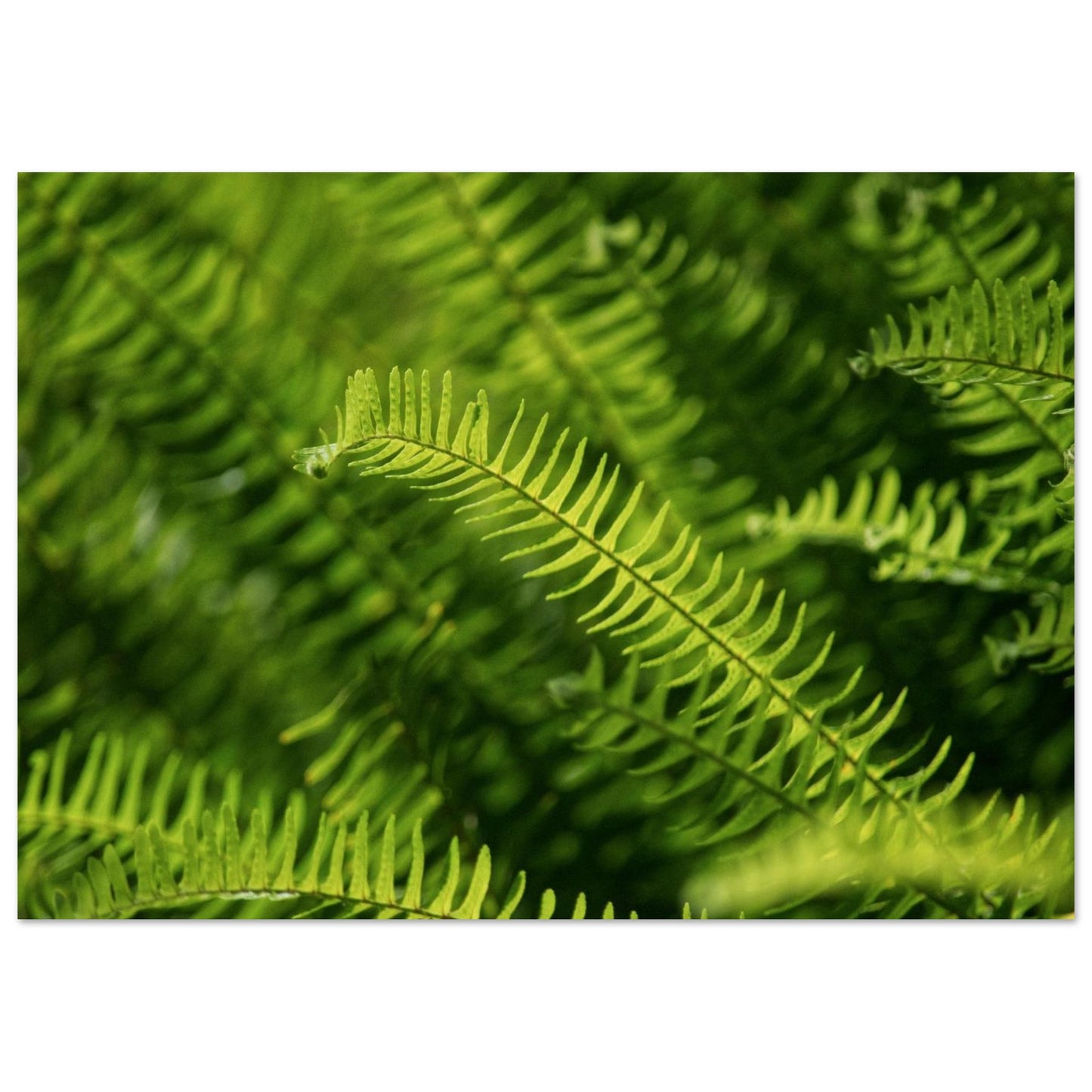 82116aa8-08e3-46e9-a1bd-ac76b894ca8b