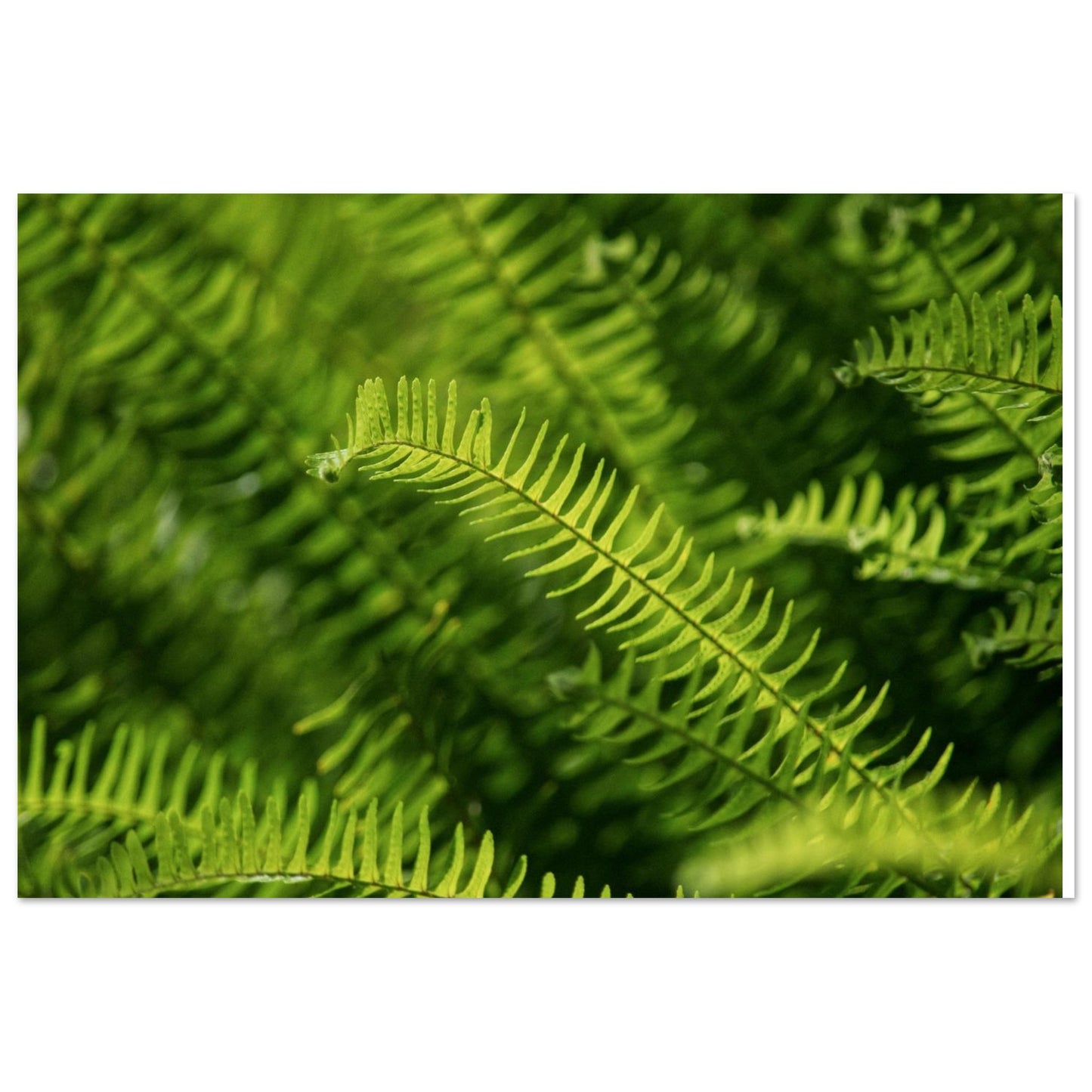 84665923-942a-406a-b3c3-61adafb9582b