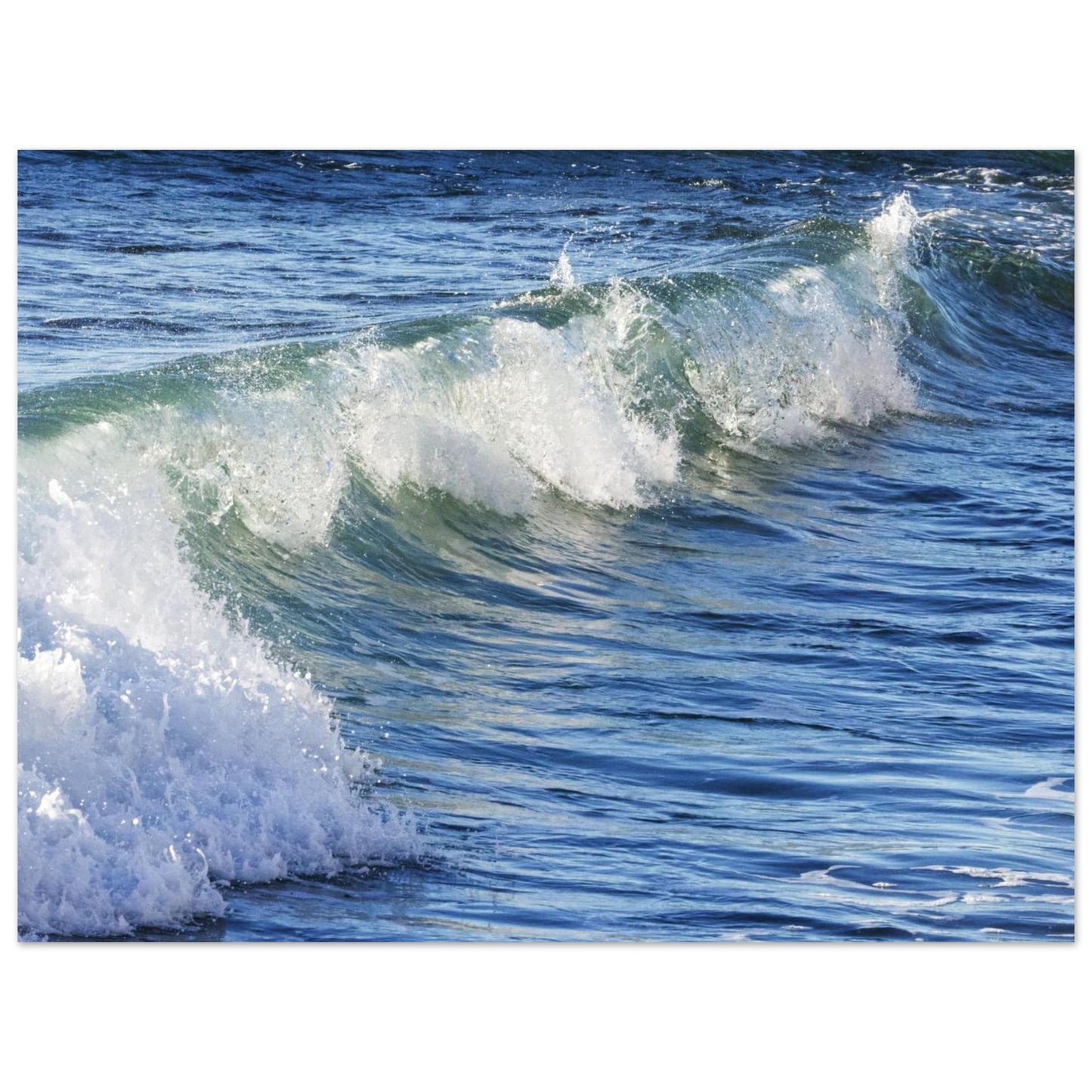 979e952b-744c-45d9-b8c6-267098e31a10