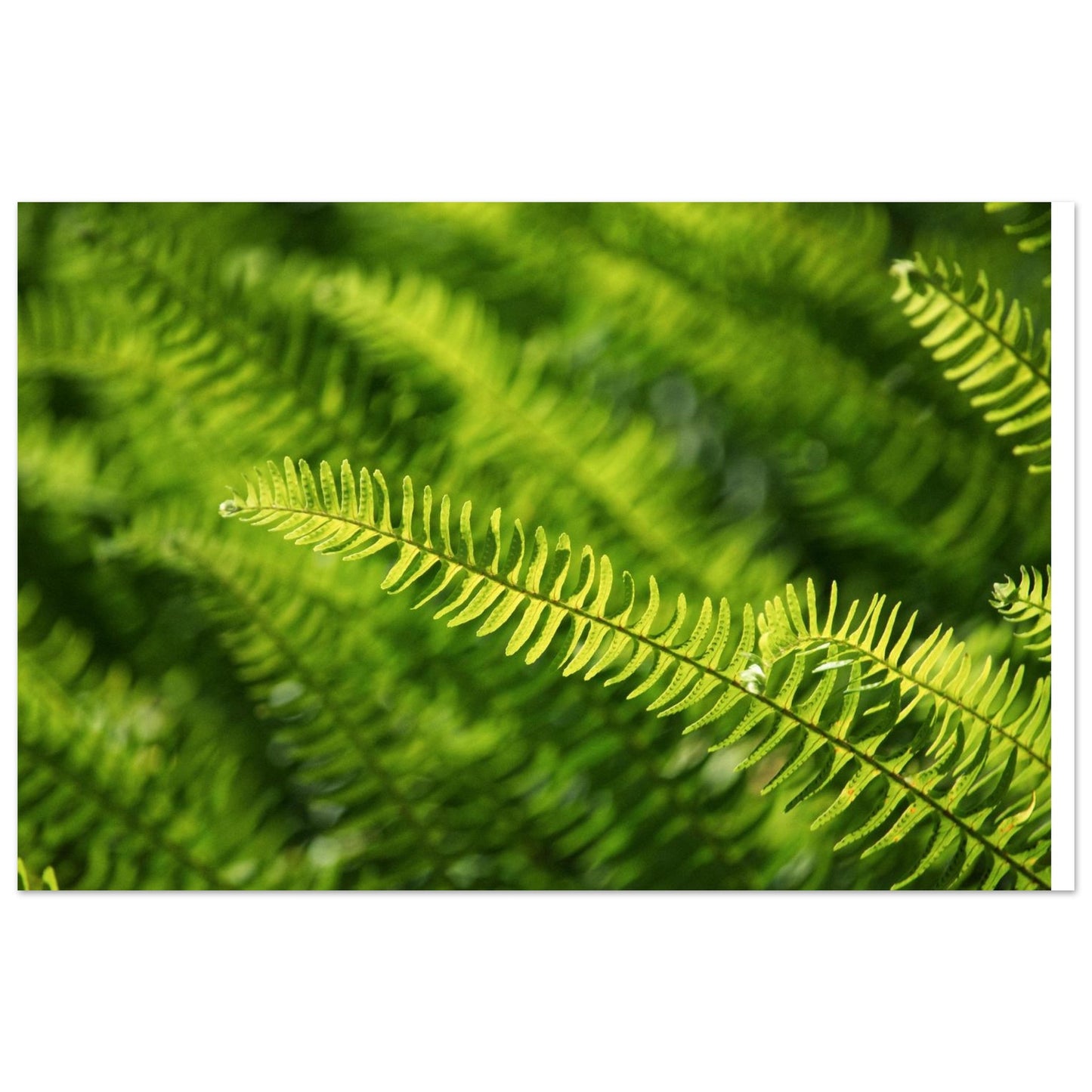 989da6d1-b6f7-4ead-bfd8-62de18e95c29