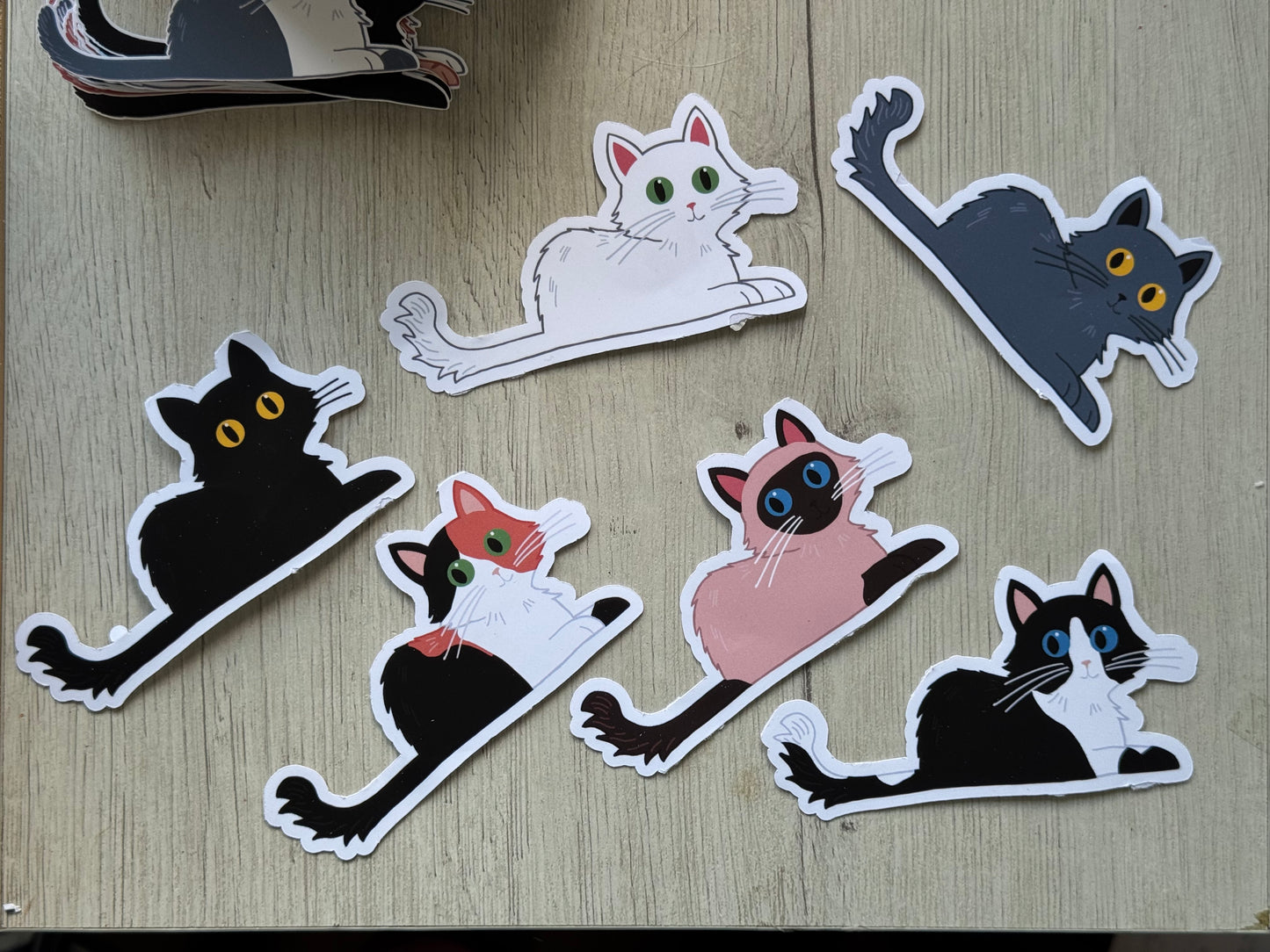 Handmade Long Hair Cat Sticker (Matte/Glossy) – Individual Selection