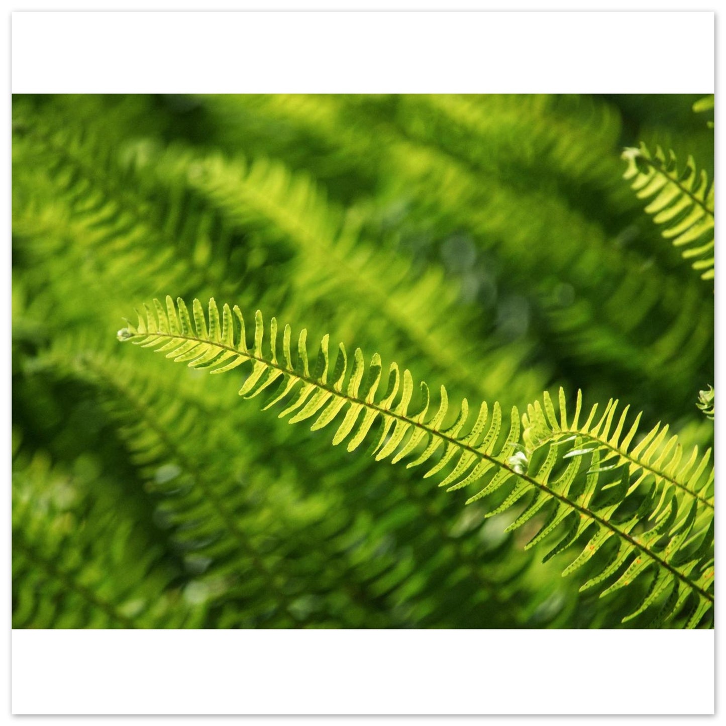 b1a0d7fa-f13e-4a2b-90dc-a5de5c73da55