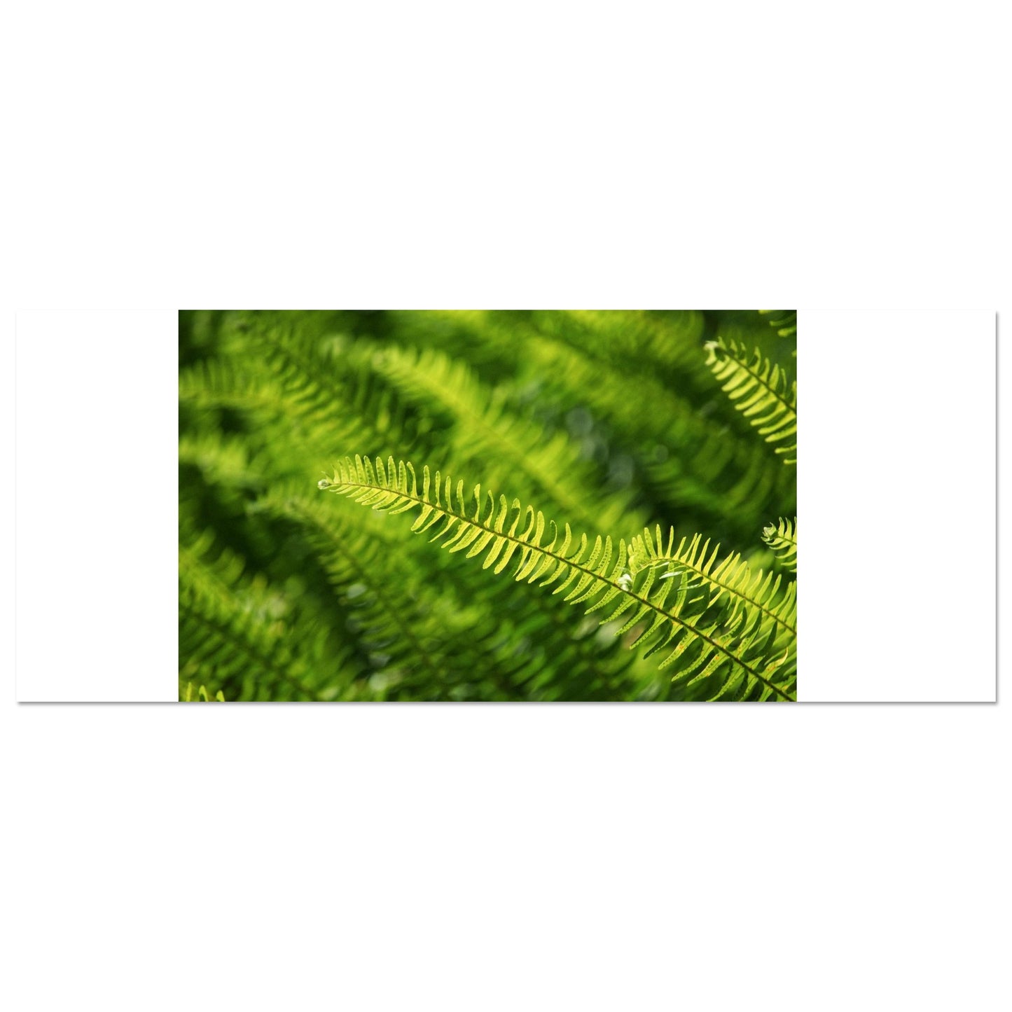 bf75c9be-7007-44f5-8538-738941c51129