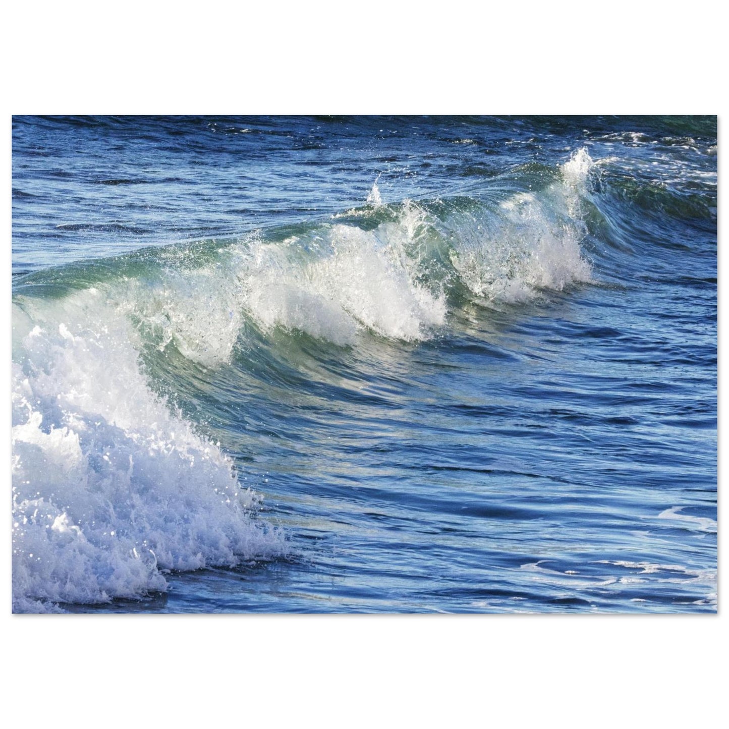 d3f1f9d0-e5ad-4b74-9629-8c68066e3cb8