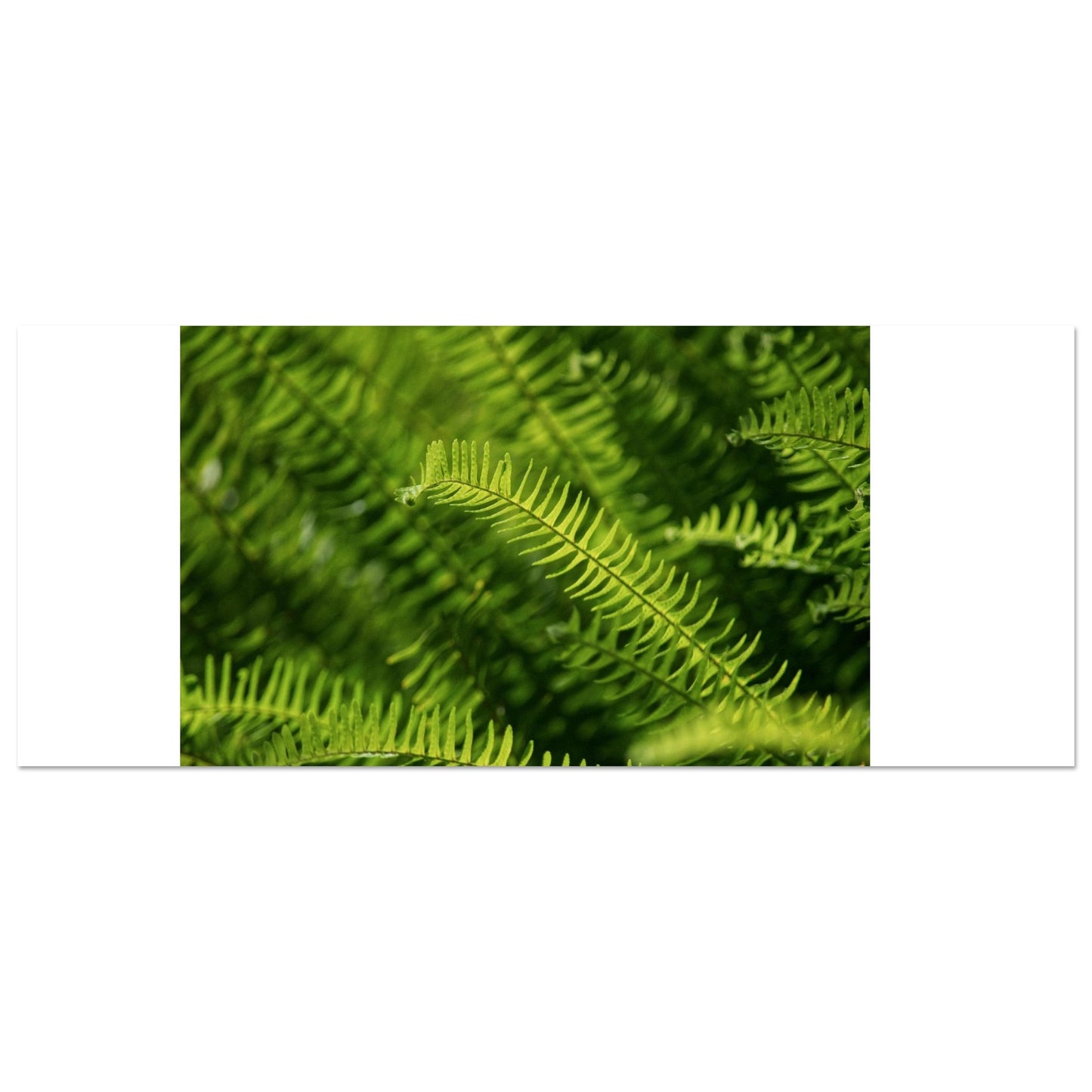 db15fa43-4749-4cb9-b295-310e4dafe3ba