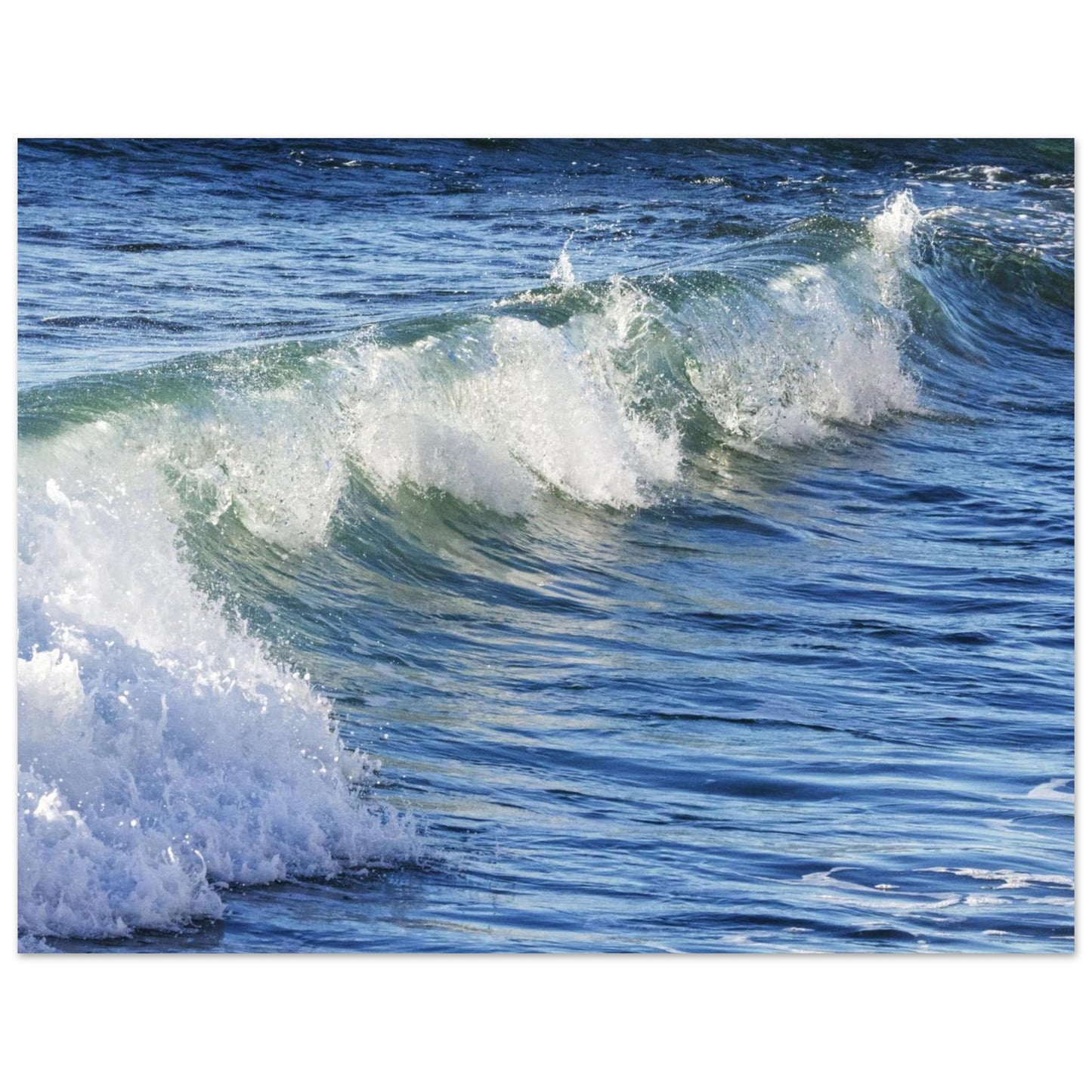 de885362-972f-4d29-a7bf-0c5a2a2a09e2