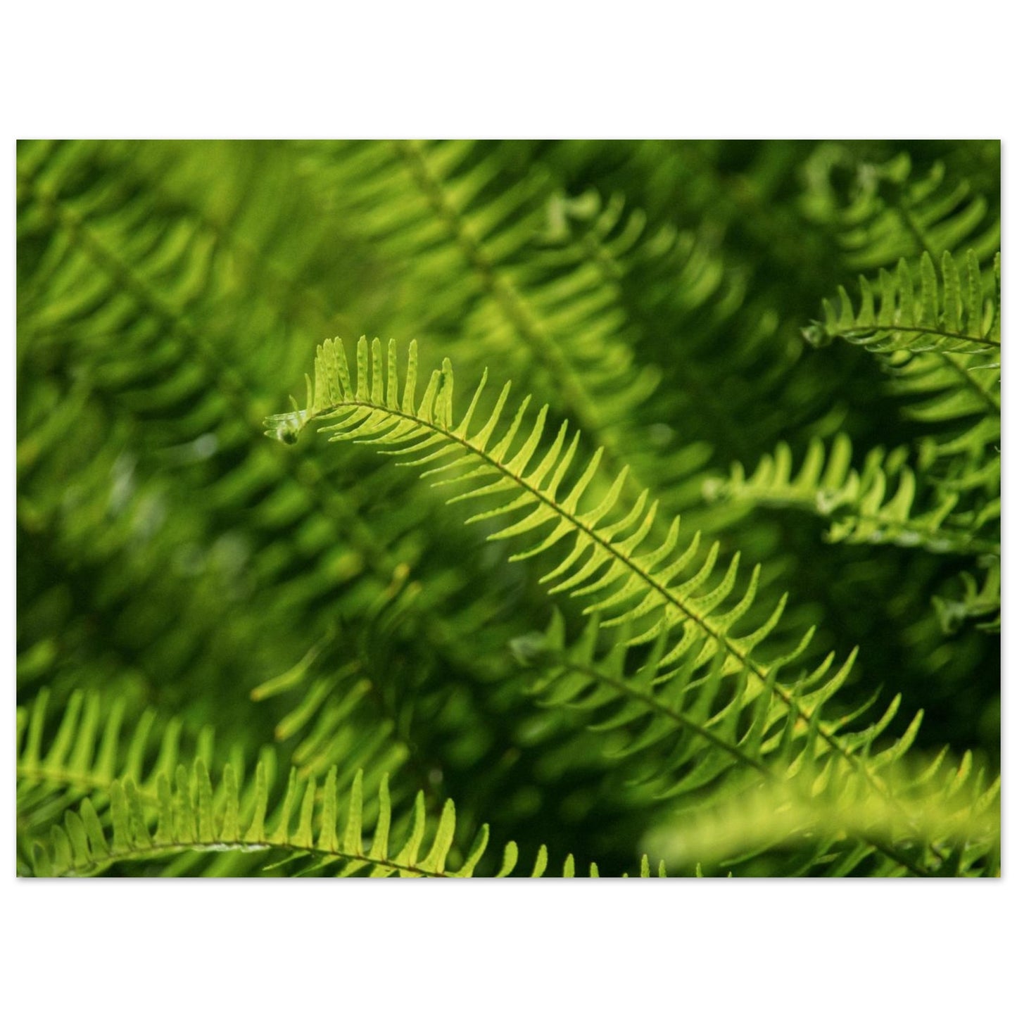 e1a61b4c-64d1-420a-81bb-e610233005d8