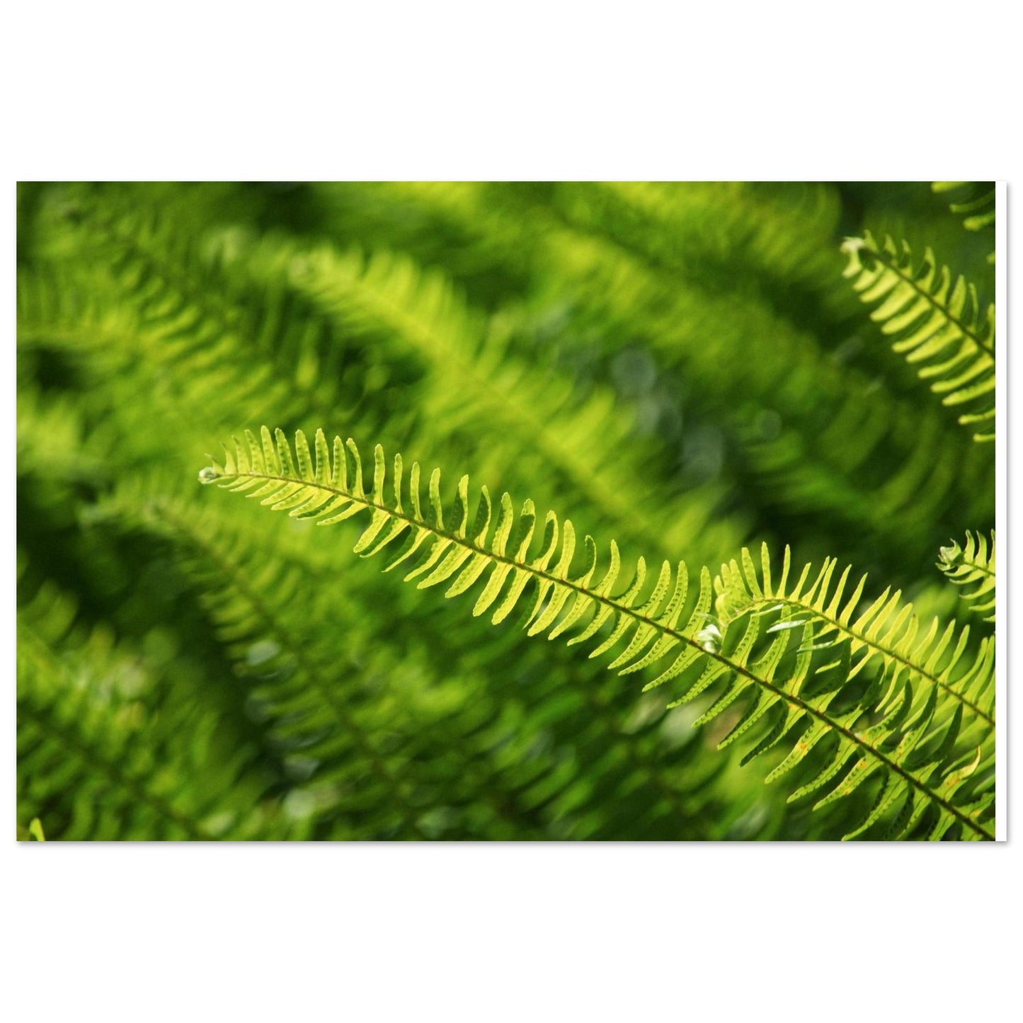 ea2fd85d-e450-455f-a440-48f957e3a78b