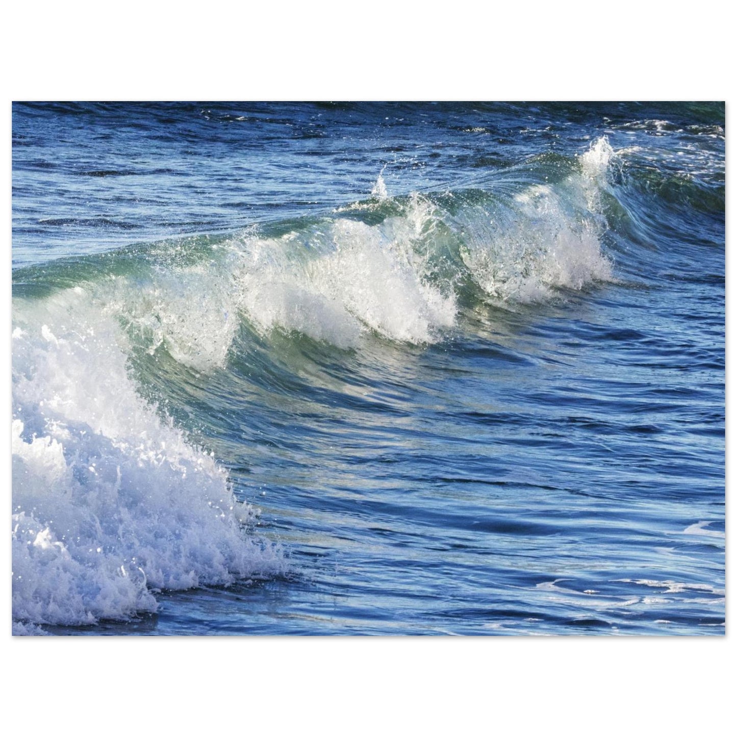 f306f959-972a-4614-b038-847e13f59a18