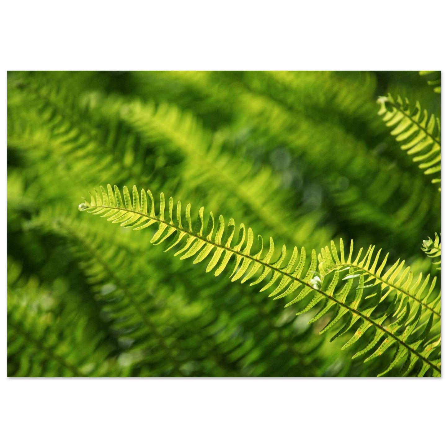 f3d30ebc-cb81-4e49-b2d2-a18904418880