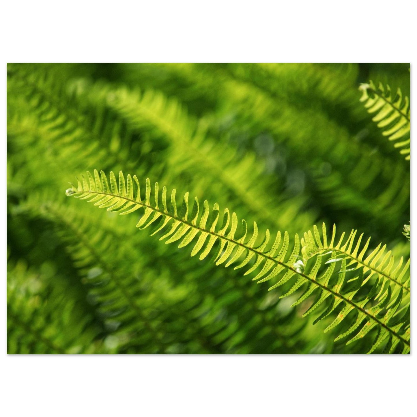 f74c55ab-7dad-43ba-8775-ca63607a17e7