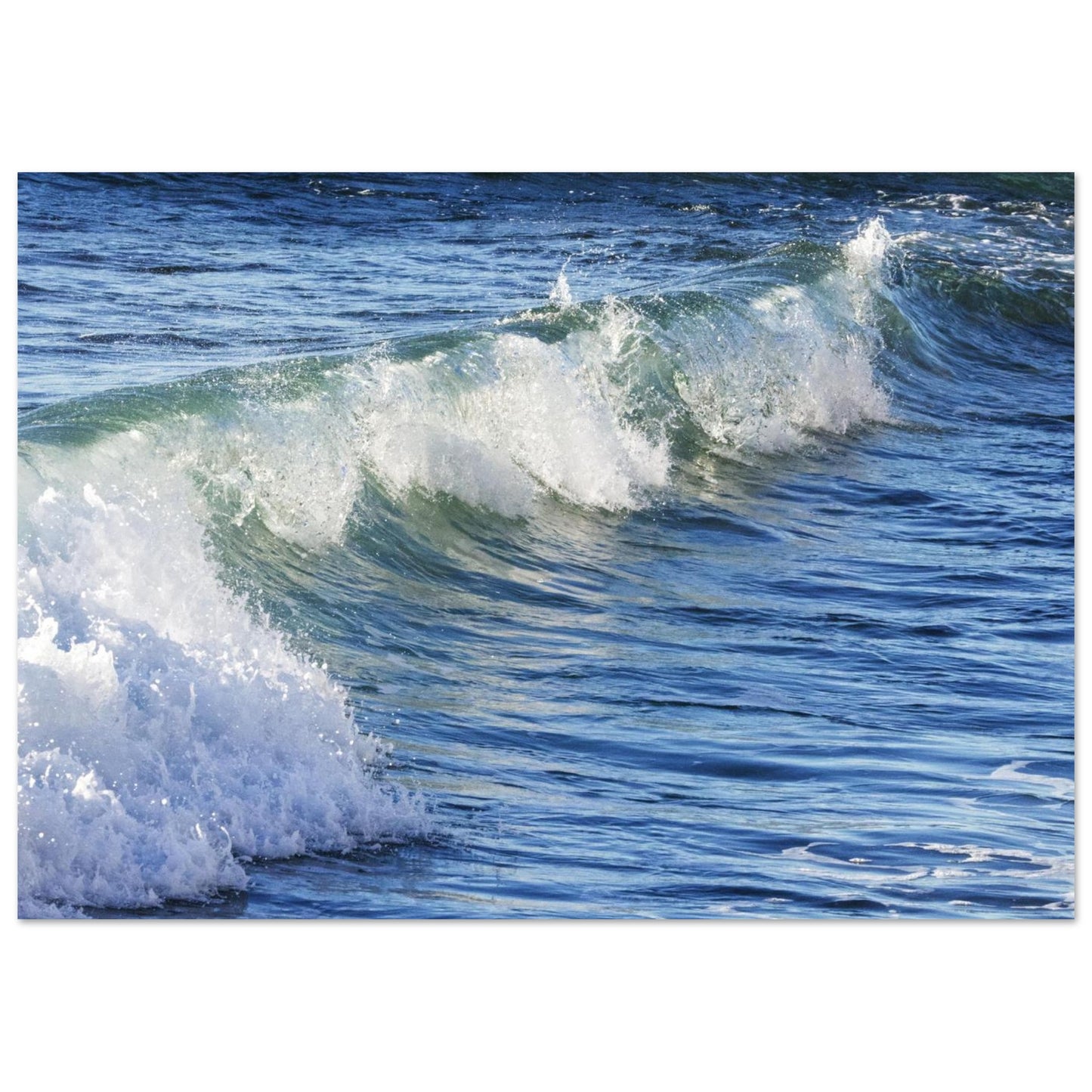 f9d6c41d-29f1-4359-b349-731843e61067